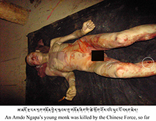 Amdo Ngaba, killed Protester